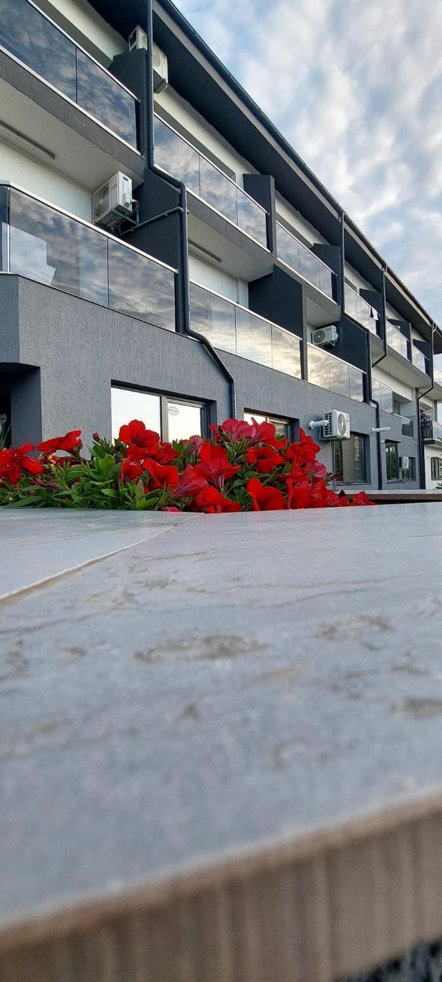 Anelisse Apartments Eforie Nord Exterior foto